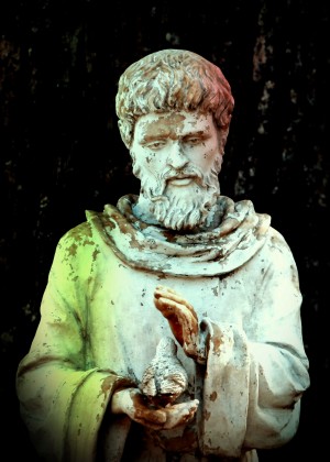 St Francis